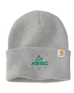 Carhartt - Watch Cap 2.0