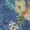 Riviera Blue